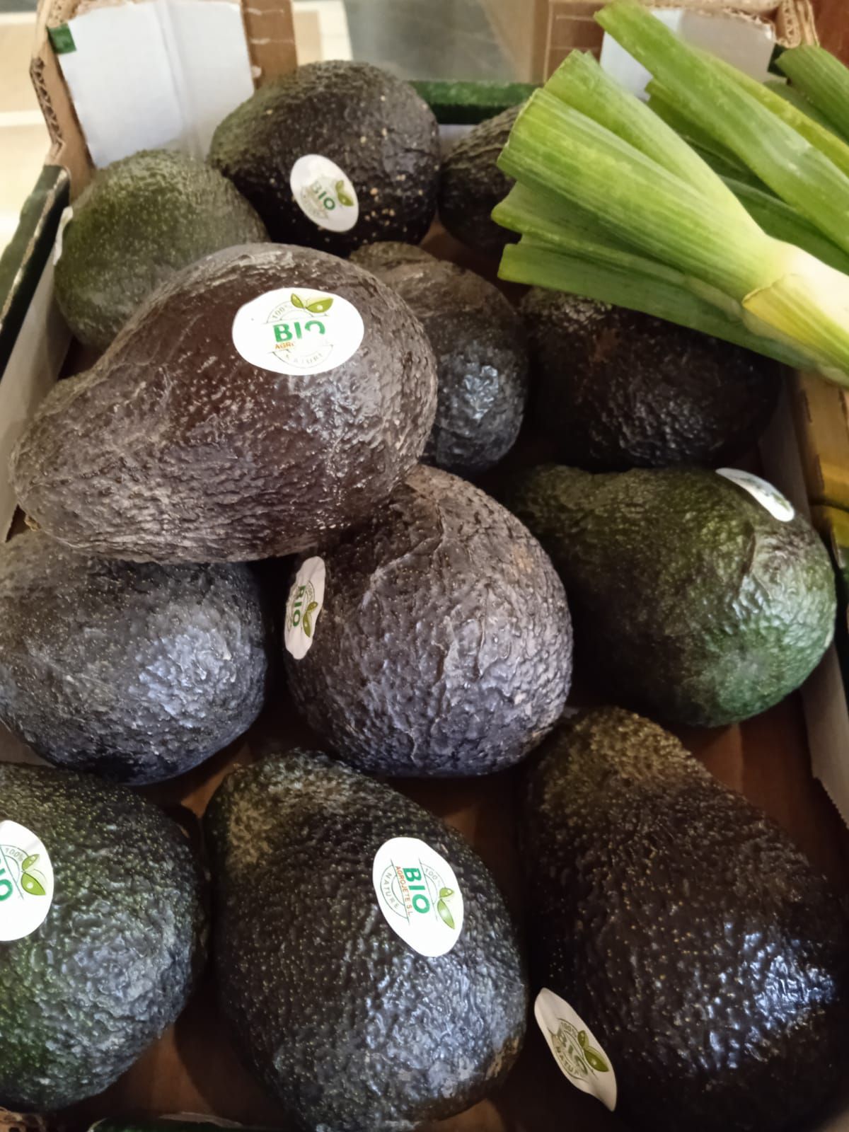 Aguacate ecológico