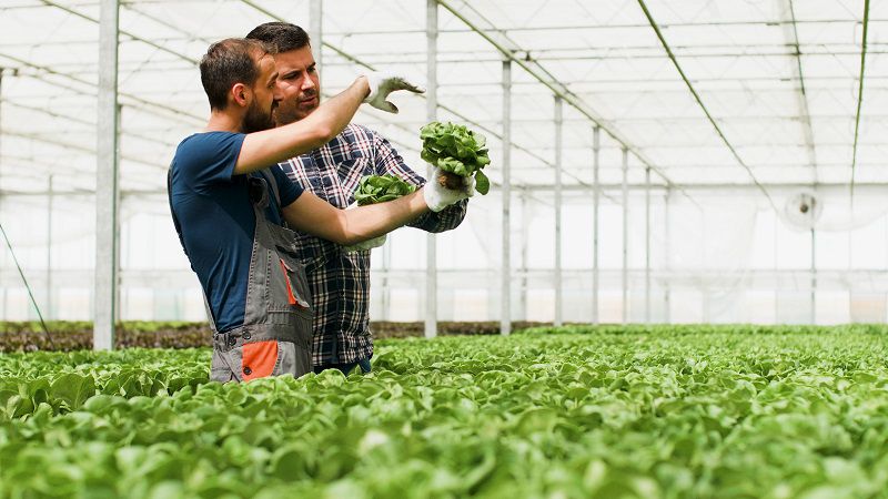 ferias eco en España