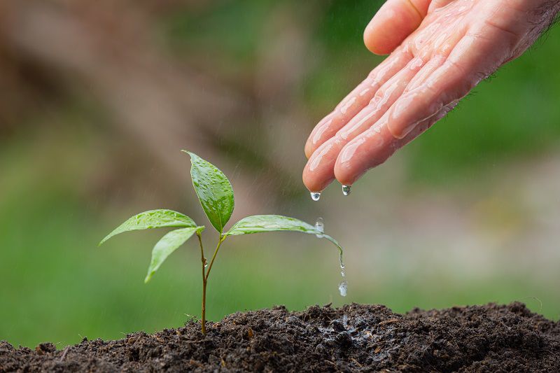 conservar agua en el suelo