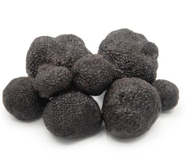 Trufa fresca Negra Melanosporum - €-gr (Provincia Teruel)
