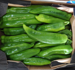 PIMIENTO VERDE ITALIANO - KG (España)